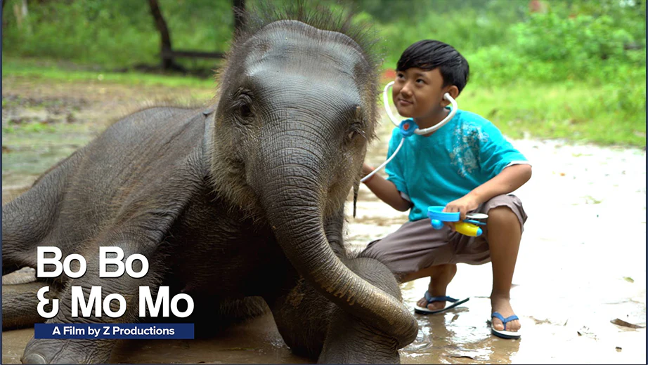 Bo Bo & Mo Mo – a film by Z Productions